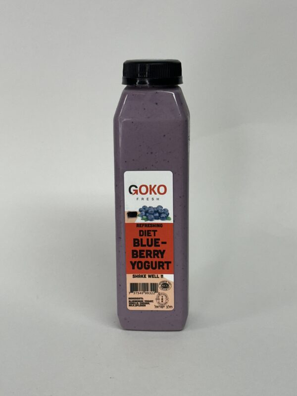 DRINKABLE DIET BLUEBERRY YOGURT